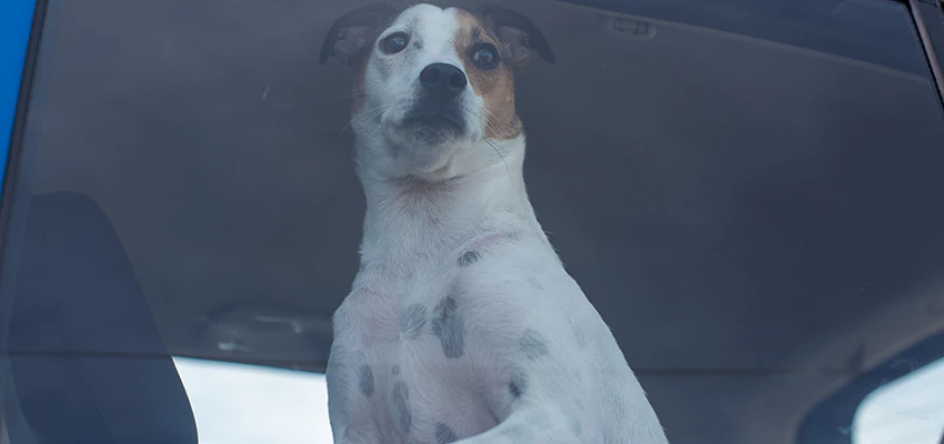 Car Lockout Solutions in East Palo Alto, California